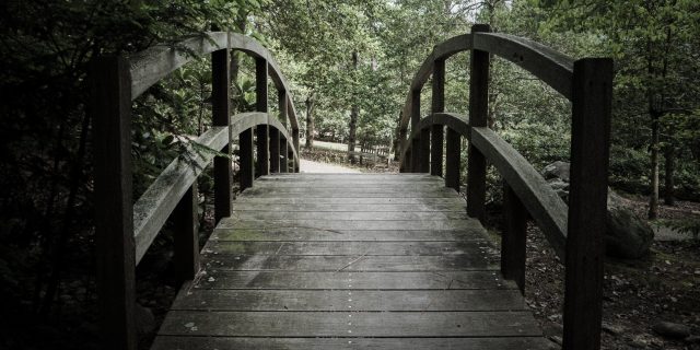 Bridge