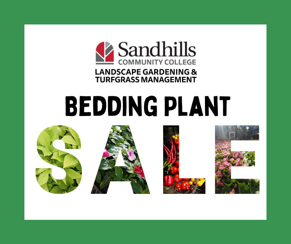 SCC Landscape Gardening & Turfgrass Management Bedding Plant Sale