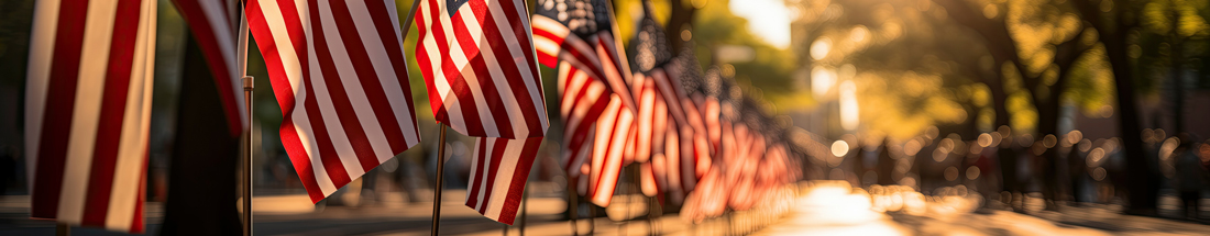 American flags displayed along a sunlit walkway during a Memorial Day remembrance event.