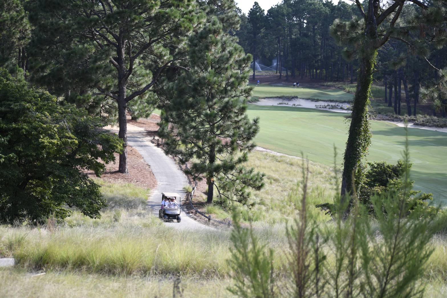 golf cart on golf course