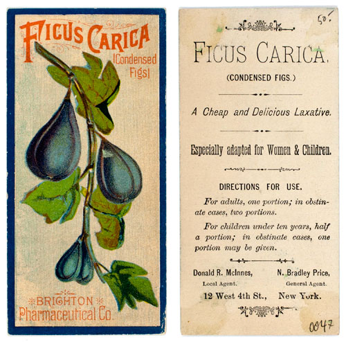 Vintage advertisement for “Ficus Carica” condensed figs produced by Brighton Pharmaceutical Company.