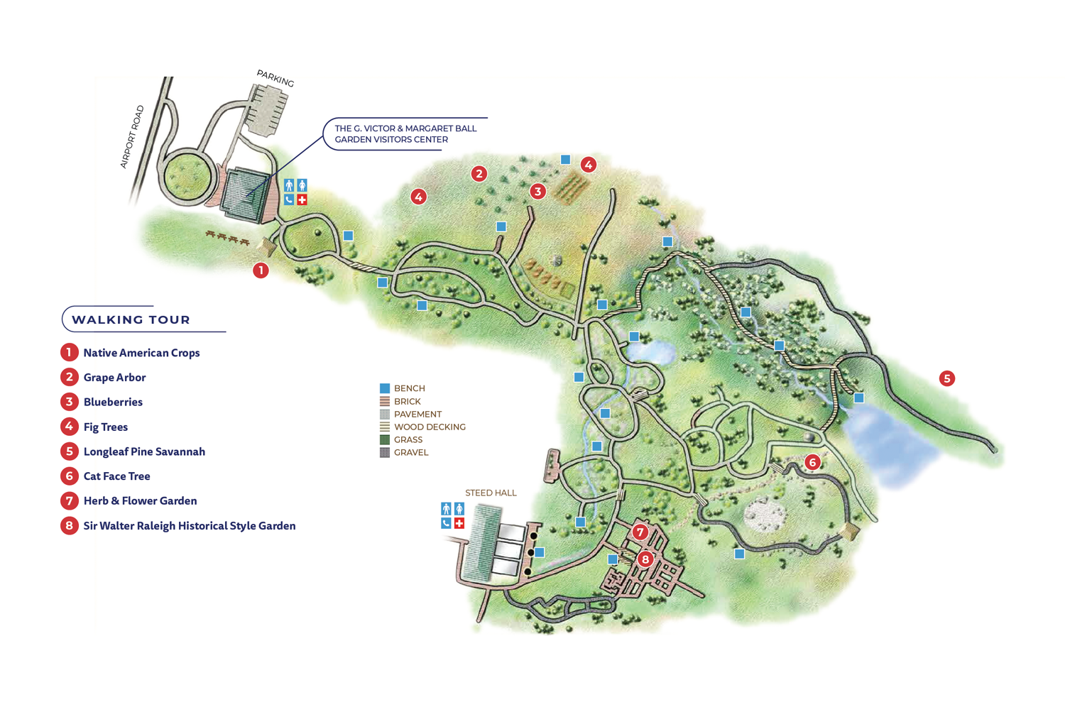 Illustrated map of the SCC Horticultural Gardens showing a walking tour route with numbered stops including Native American Crops, Grape Arbor, Blueberries, Fig Trees, Longleaf Pine Savannah, Cat Face Tree, Herb and Flower Garden, and Sir Walter Raleigh Historical Style Garden. Paths, water features, buildings like the Ball Garden Visitor Center and Steed Hall, parking, and trail surfaces are also labeled. Printed maps available at Ball Garden Visitor Center.