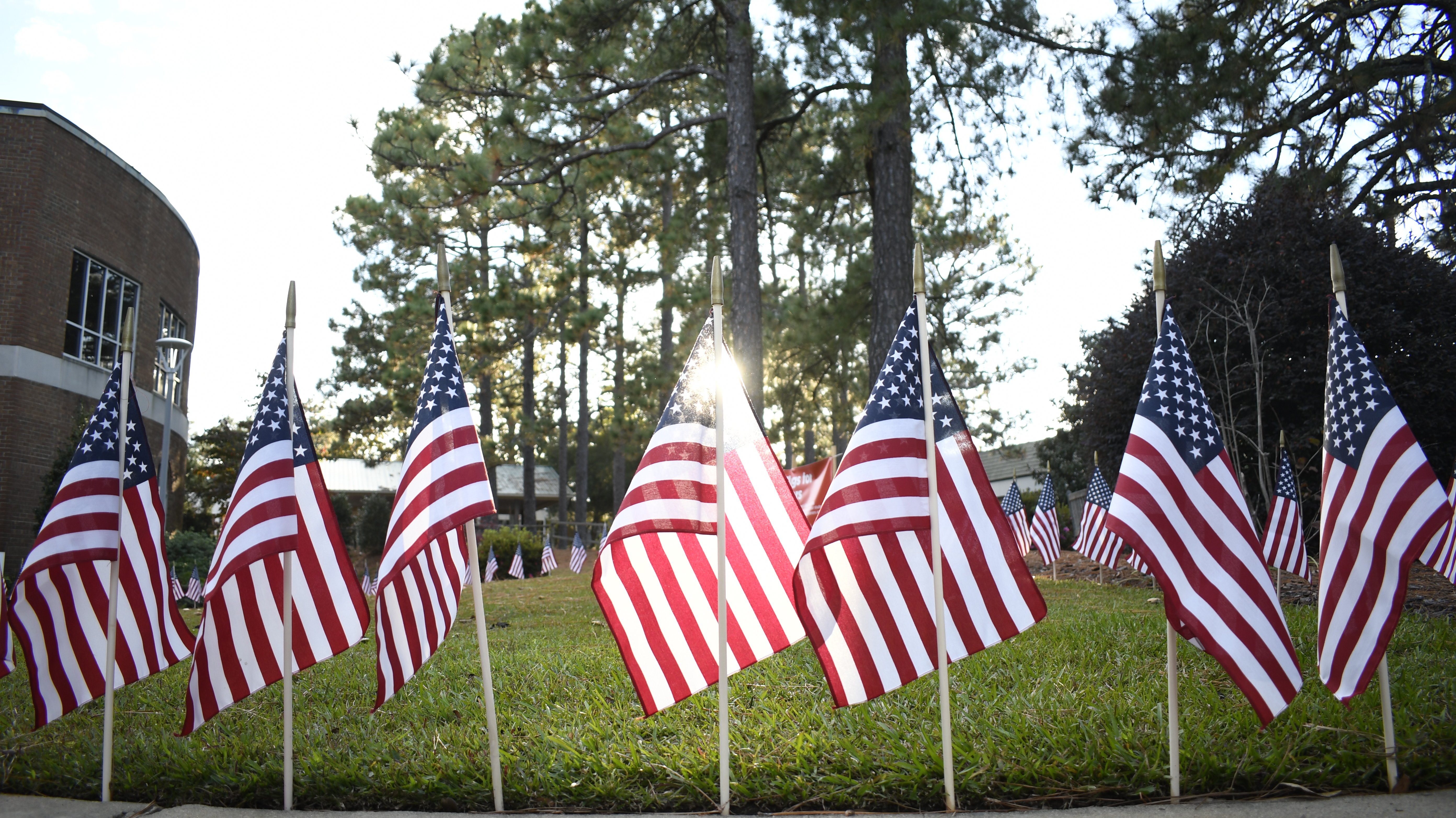 Mini flags at sunrise