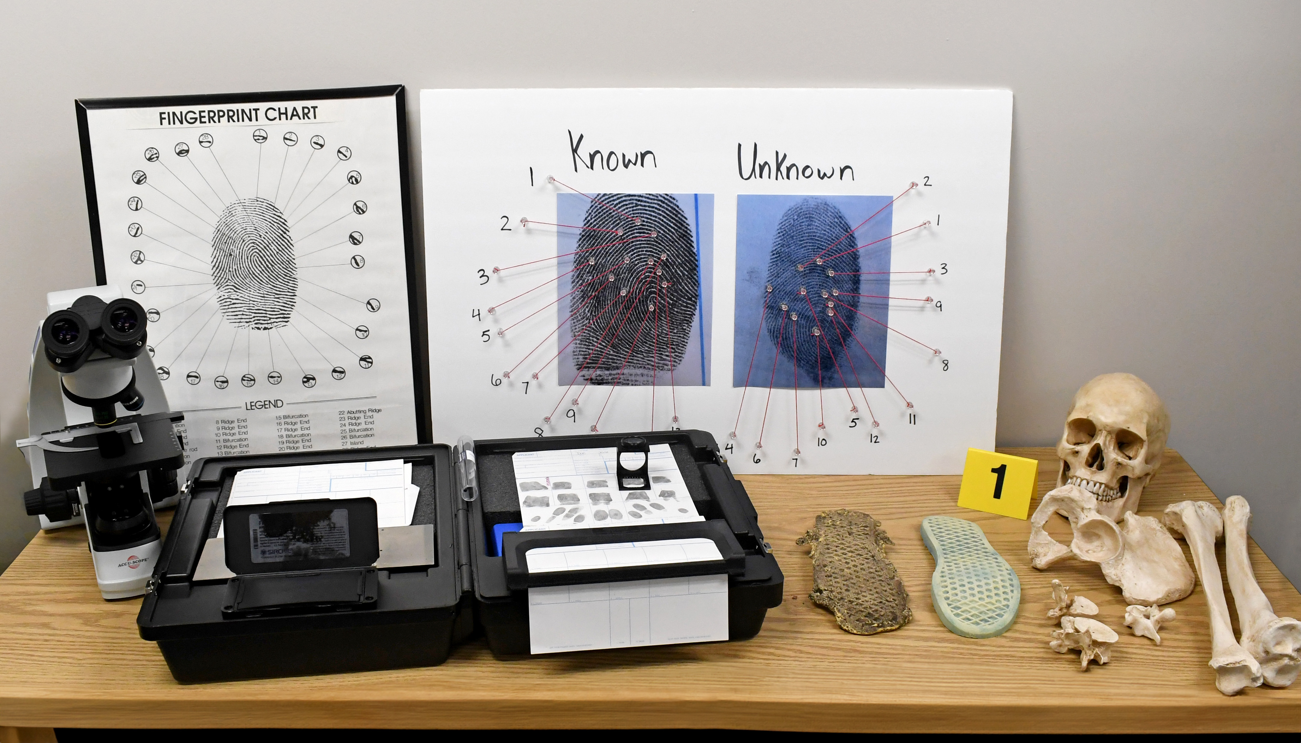 Pictured are items that students use inside our Forensic Science lab.