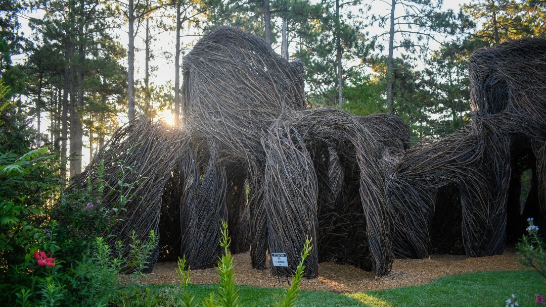 Patrick Dougherty's sculpture "What Goes Around Comes Around"