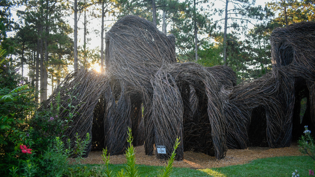 Patrick Dougherty's sculpture 